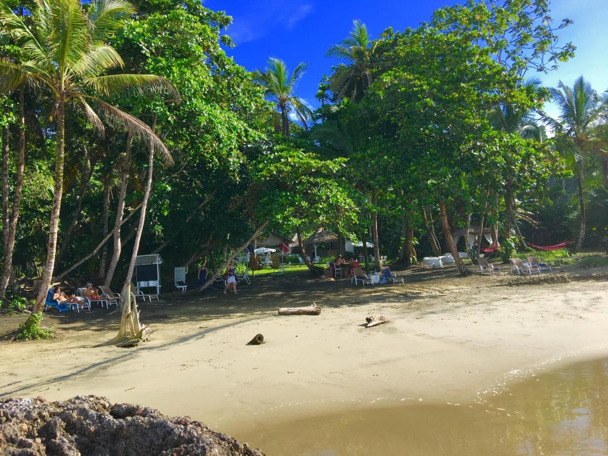 Lapalapa Beachfront Hotel Puerto Viejo de Talamanca Bagian luar foto