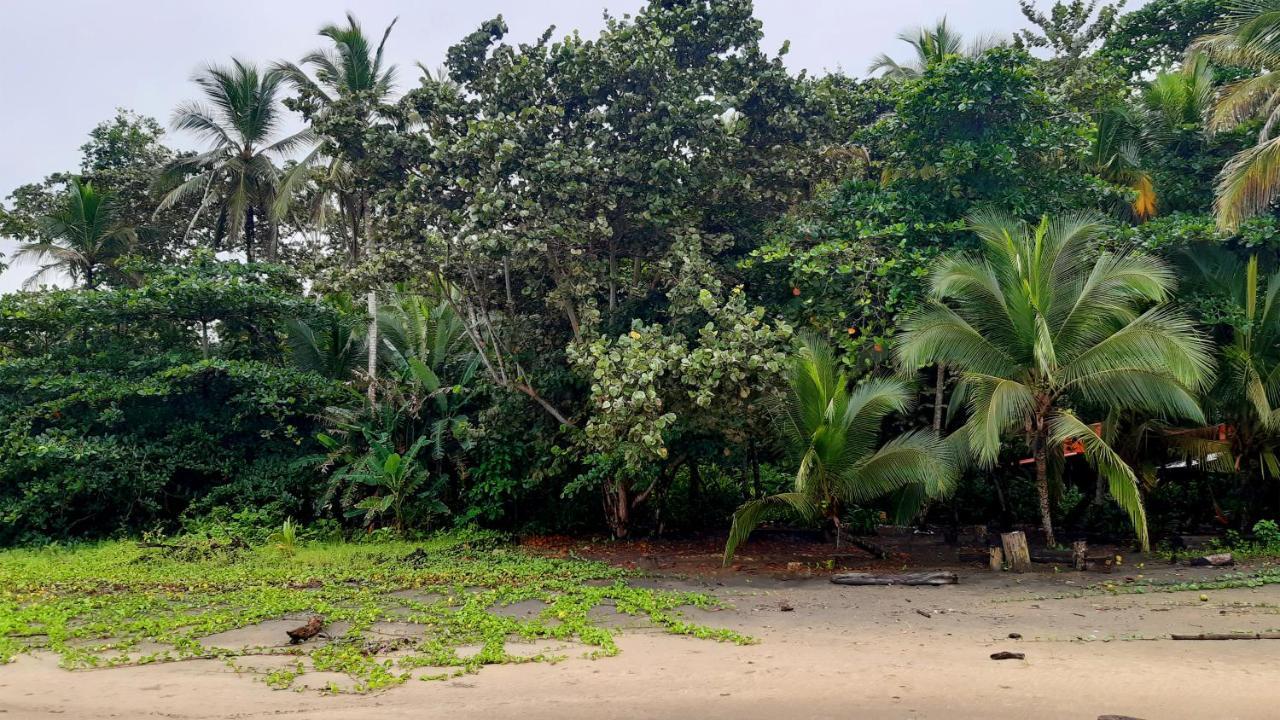 Lapalapa Beachfront Hotel Puerto Viejo de Talamanca Bagian luar foto